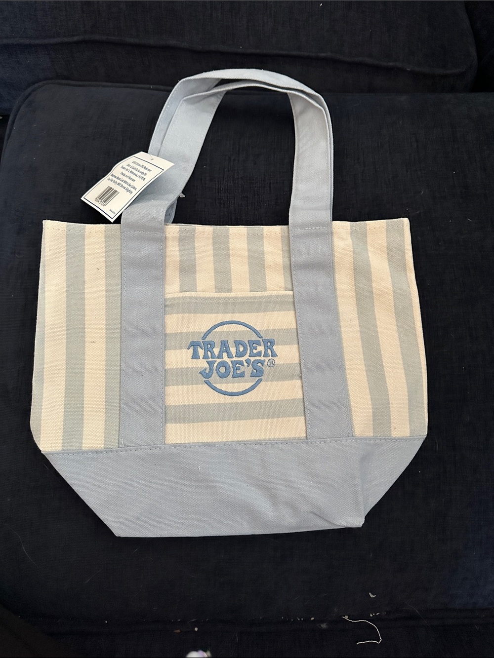 Trader Joe's Cream and Light Blue Striped Canvas Tote
